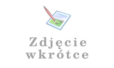 kalendarz Plakatowe Krajobrazy Polskie